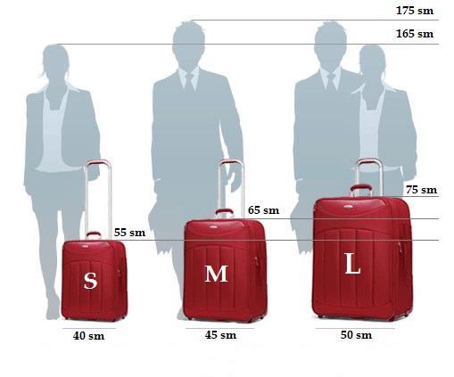 Standard Luggage Bag Sizes | Literacy Basics